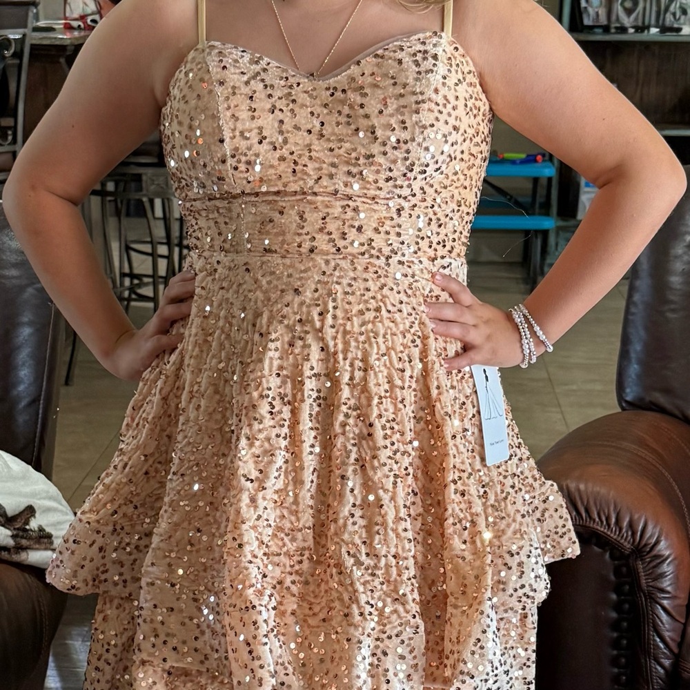 Sparkling Sequin Strapless Dress